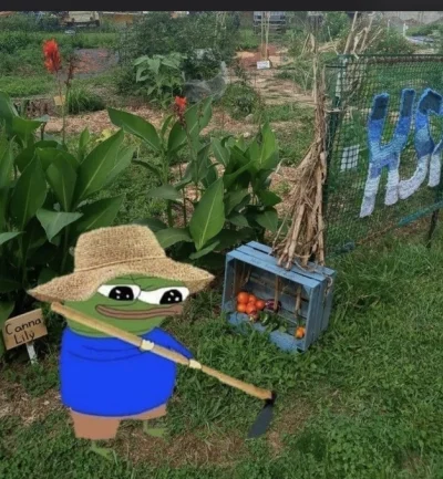 Dawid-01100 - @alibanplonie: