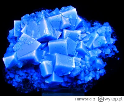 FunWorld - Pod światłem UV