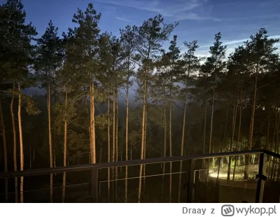 Draay - Ładnie dziś #las wygląda 

P.S. Sprzedam #nieruchomosci

#natura #noc #lasy #...