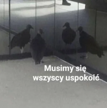 Kojot2077 - #przegryw Dokładnie tak