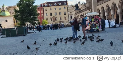 c.....g - #krakow #bekazpodludzi #rozowepaski jak można być tak tępym aby dokarmiac s...