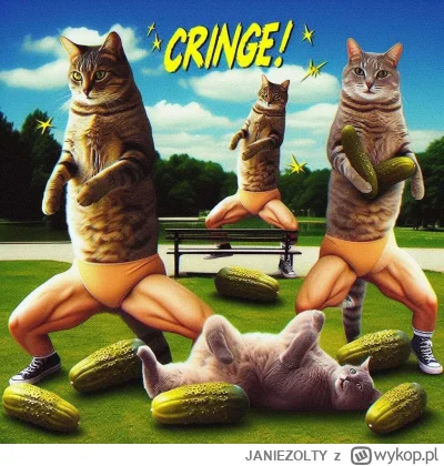 JANIEZOLTY - #aikitku