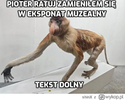 shinX - Byłem dzisiaj w Muzeum Przyrodniczym i to moje jedyne zdjęcie z wycieczki

#n...