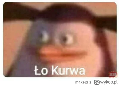 m4xejd - Finowie analizujący co się obecnie dzieje w reprezentacji Polski 
#mecz #lew...