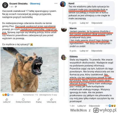 WielkiNos - W gminie Pisz pies wyskoczył z posesji na przechodzącą obok nastolatkę, p...