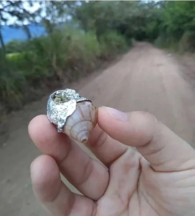 zazdrosny - a walić ten kołchoz, pora się wychillować!!ᕙ(⇀‸↼‶)ᕗ