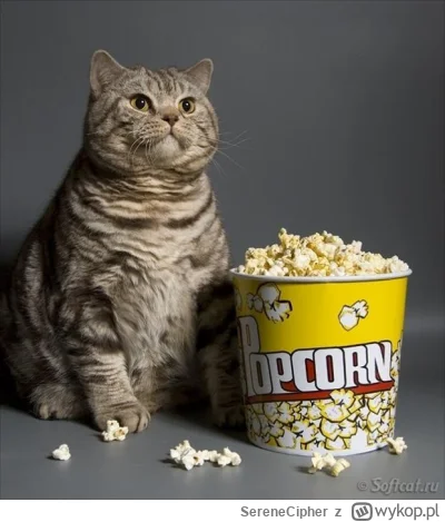 SereneCipher - NO CZEKALIŚMY CZEKALIŚMY I SIE DOCZEKALIŚMY PIERWSZA AFERKA 
częstujci...