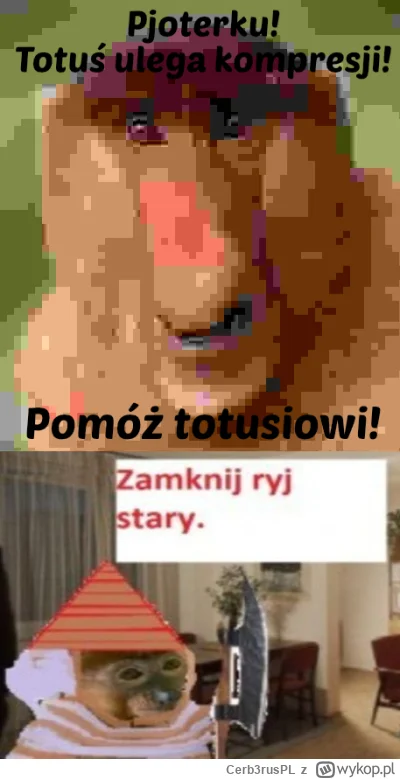 Cerb3rusPL - #konkursnanajbardziejgownianymemznosaczem 

Po kim ten pjoter taki okrut...