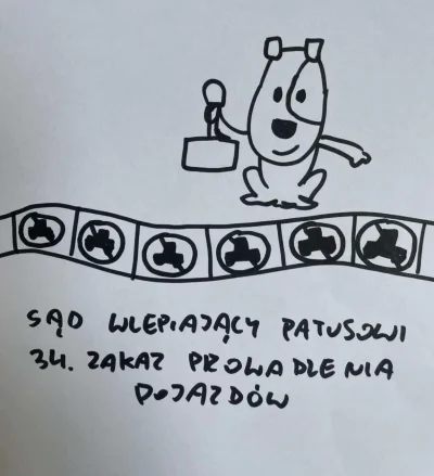 troglodyta_erudyta - #prawojazdy #motoryzacja #ruchdrogowy #polska #polskiedrogi