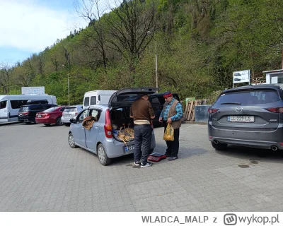 WLADCA_MALP - Pisałem o motoryzacji w Gruzji, to teraz o psach. W tym kraju nie ma sc...