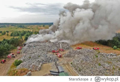 StaraSzopa - Pff, amatorszczyzna, kto by się bawił w takie rzeczy, a ile to roboty. W...