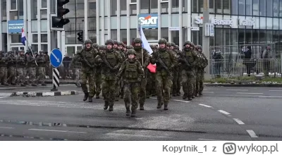Kopytnik_1 - #przegryw #wojsko #czechy #przegrywpo30tce #ciekawostki 

Oddział czeski...