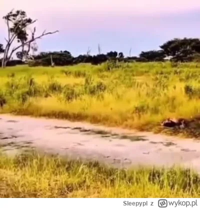 Sleepypl - #trzecieoko #heheszki