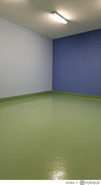 melba - @rybeczka ja stwierdziłem że nadam troche koloru tej smutnej jak p---a piwnic...