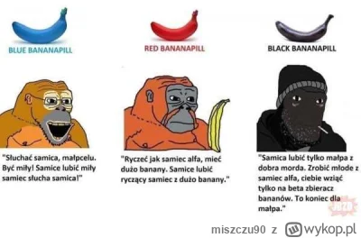 miszczu90 - @exiteverything: Stary to Redpill - lub raczej redbannanapill