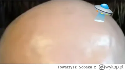 Towarzysz_Sobaka - @ZdumionyMariusz: