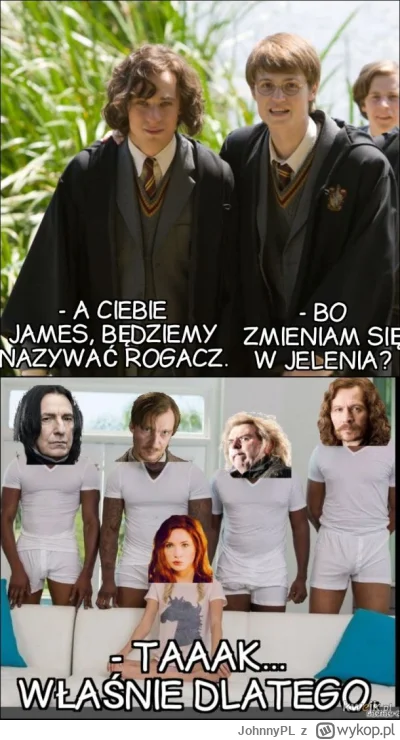 JohnnyPL - #harrypotter