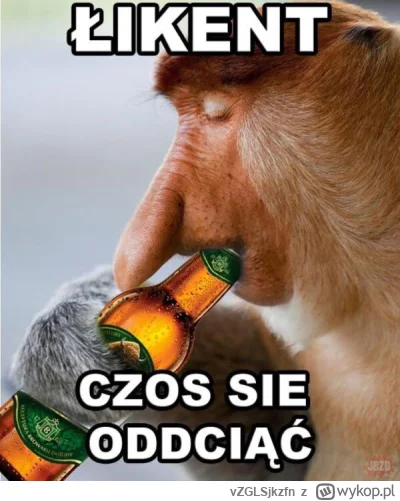 vZGLSjkzfn - #konkursnanajbardziejgownianymemznosaczem