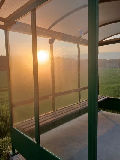 n.....a - jak szłam, to kichałam cztery razy 
pozdrawiam