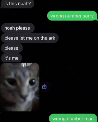 FreakingAwesome - #kotek