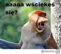 efeeem - @wybryk_natury