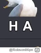 Robson86pn - I gdzie ta magiczna koalicja konfederacji z PISem o której tu cięgle pis...