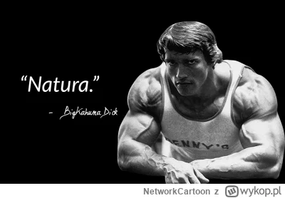 NetworkCartoon - @Narcyz_ 

Przecież 12 cm to jest przerośnięta łechtaczka