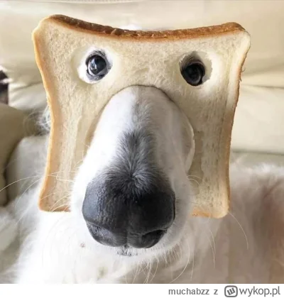 muchabzz - @kutang__pan jaknsiento robi hyhy ?