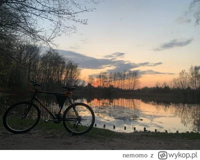 nemomo - Halo #poznan
Dzisiaj na grunwaldzie #!$%@? mi rower(to już drugi w przeciągu...