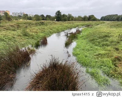 Ignas1415 - Na Ślęży stabilnie #wroclaw