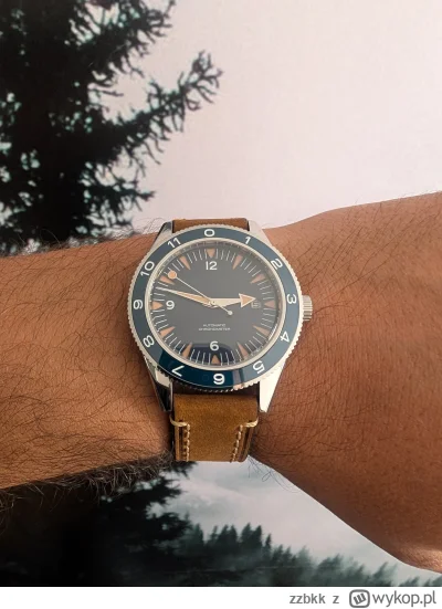 zzbkk - Co to już #kontrolanadgarstkow nie jest codziennie? 

SPOILER