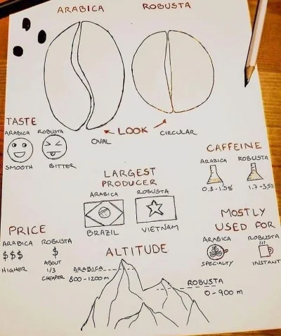 cheeseandonion - https://www.reddit.com/r/coolguides/comments/126f8c8/knowyourcoffeeb...