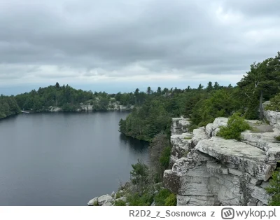 R2D2zSosnowca - @R2D2zSosnowca nie ma to jak przegonienie stada dzieci przez chaszcze...