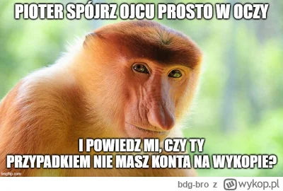 bdg-bro - #konkursnanajbardziejgownianymemznosaczem #heheszki