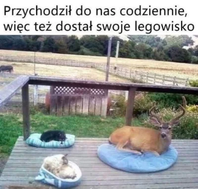 wybryk_natury - #zlodziejskiewybryki