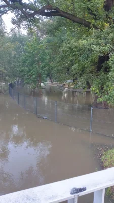 Ogau - @dqdq1: Środa 7:15 z drugiej strony ( ͡° ͜ʖ ͡°)