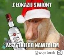 wojstenik - #lowquality #konkursnanajbardziejgownianymemznosaczem
