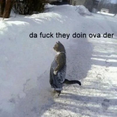 szyderczy_szczur - Co tam sie dzieje w tym LA
#losangeles #usa