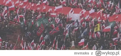 mvmxks - na marszu nie ma nazistów
tymczasem na marszu

SPOILER

#marszniepodleglosci