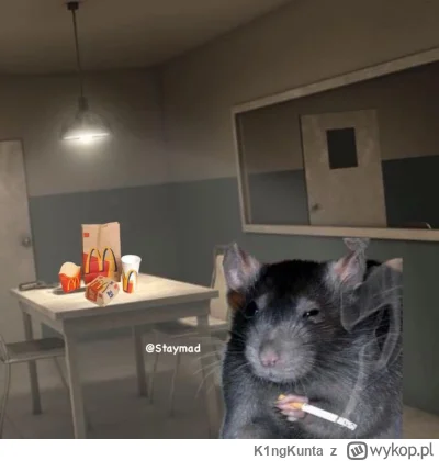 K1ngKunta - #heheszki #humorobrazkowy