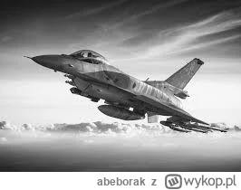 abeborak - Jeden z lepszych pilotów. 
Spoczywaj w pokoju [*]
Chwała Bohaterom!

#rado...