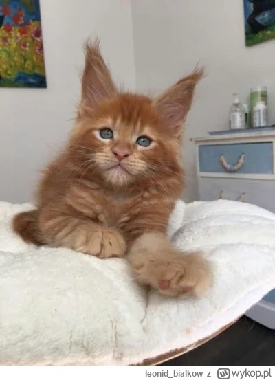 leonid_bialkow - @Umeraczyk: a uszanowanie