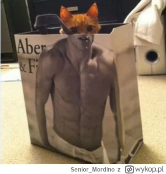 Senior_Mordino - @uszyk90: