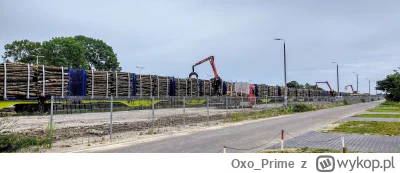 Oxo_Prime - Drzewo na eksport jest wywożone tak samo za obecnej koalicji jak i za pop...