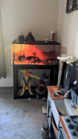 jestemtakizmeczony - @jestemtakizmeczony: