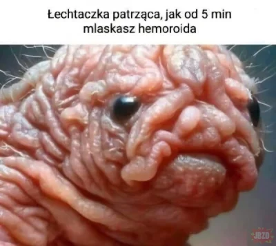 P.....a - #humorobrazkowy #heheszki