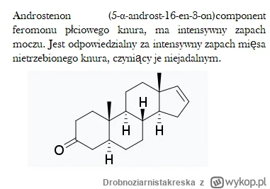 Drobnoziarnistakreska - #kononowicz #us17