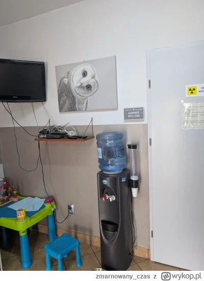 zmarnowany_czas - @paramyksowiroza: a kto mówi, że sowa prawdziwa?