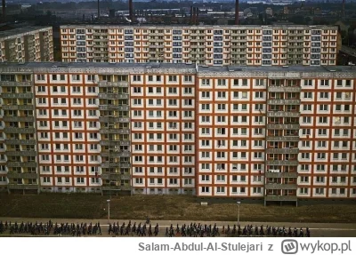 Salam-Abdul-Al-Stulejari - Kurnikownia w stylu socmod. Wschodni Berlin, 1975 r.

#bru...