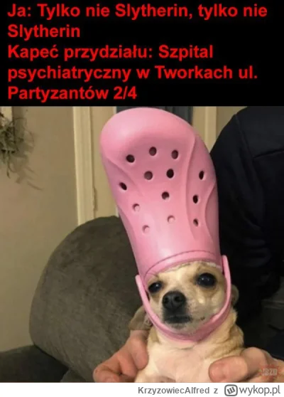 KrzyzowiecAlfred - @Wanzey: